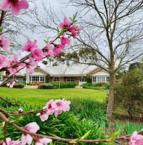 Seppeltsfield Vineyard Retreat - 3 Bedroom Holiday Home